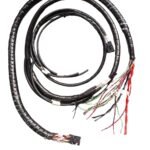 WhatsApp Image 2026-01-26 at 2.09.51 PM