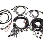 WhatsApp Image 2026-01-26 at 2.09.53 PM (1)