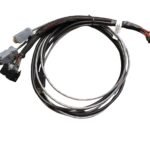 WhatsApp Image 2026-01-26 at 2.09.53 PM