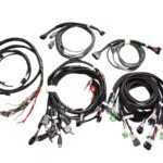 WhatsApp Image 2026-01-26 at 2.09.54 PM (1)