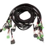 WhatsApp Image 2026-01-26 at 2.09.55 PM