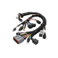 Custom Wiring Harnesses for Automotive, Industrial and Electrical Applications